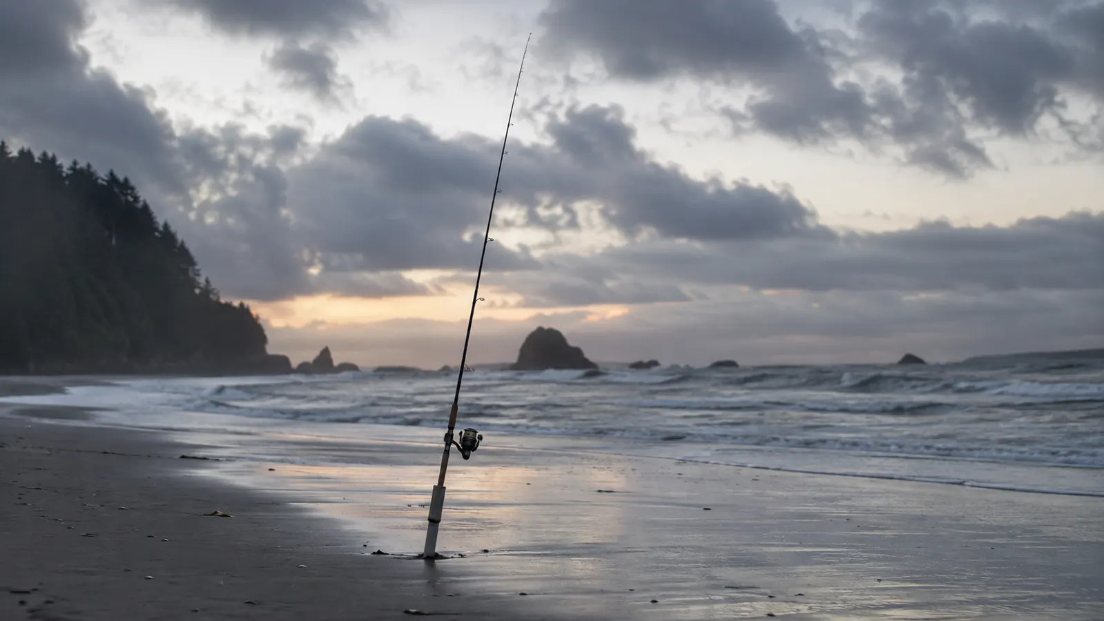 Ugly Stik Bigwater Review: A Season of Surf and Rock Fishing